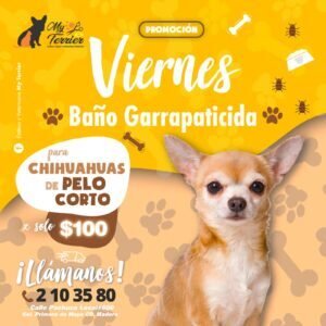 WhatsApp-Image-2023-02-05-at-5.36.34-PM-10-300x300-2-300x300