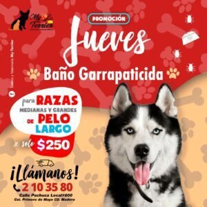 WhatsApp-Image-2023-02-05-at-5.36.34-PM-9-300x300-1-300x300